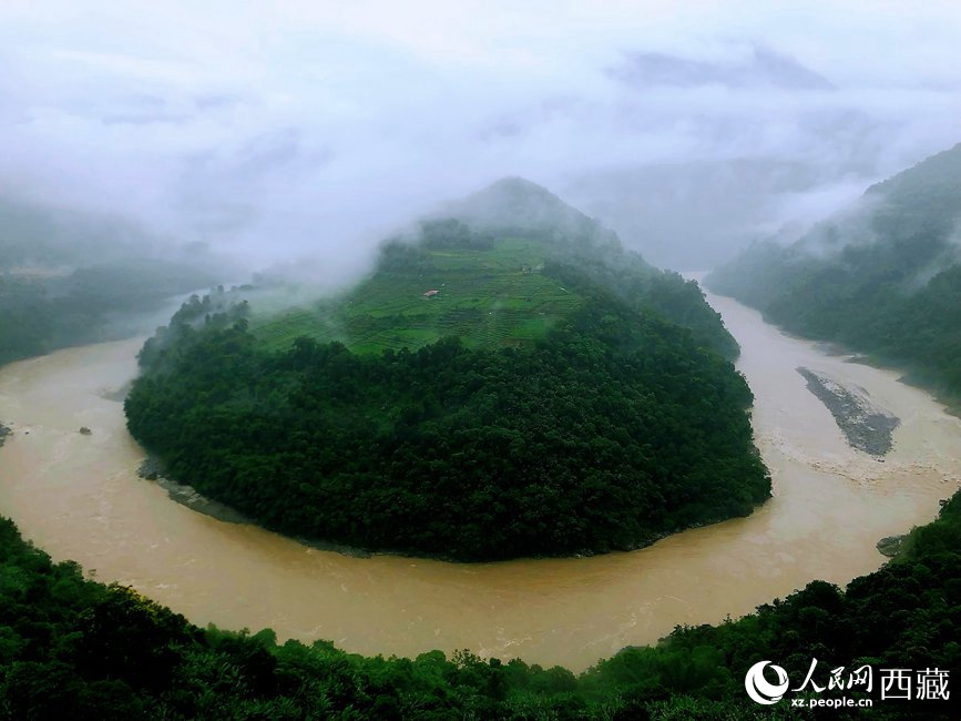雅魯藏布江大峽谷蛇形拐彎處，山坡上種滿茶樹。