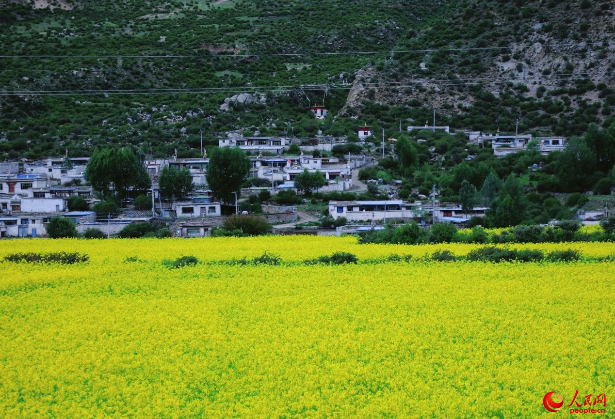 鄉(xiāng)村振興美好畫(huà)卷。人民網(wǎng) 李海霞攝