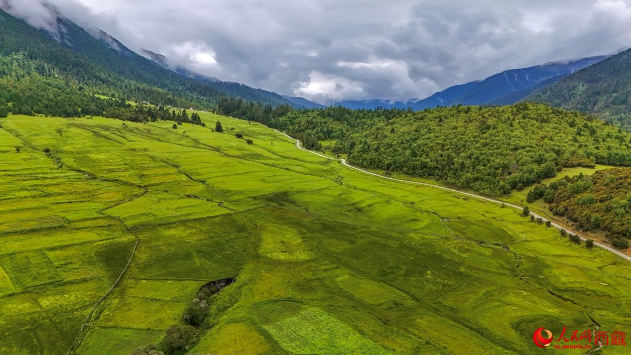 圖為航拍高山牧場(chǎng)鳥(niǎo)瞰圖。人民網(wǎng)記者 次仁羅布攝