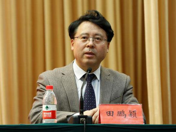 田鵬穎：投入其中、樂在其中、安身其中